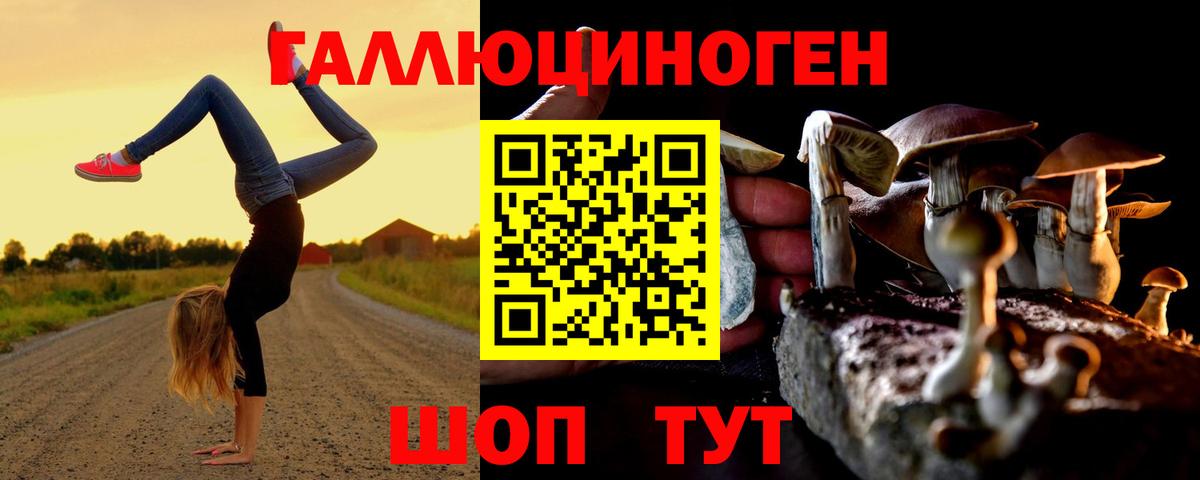 Ачинск  Псилоцибиновые грибы прущие грибы  Вход с VPN 